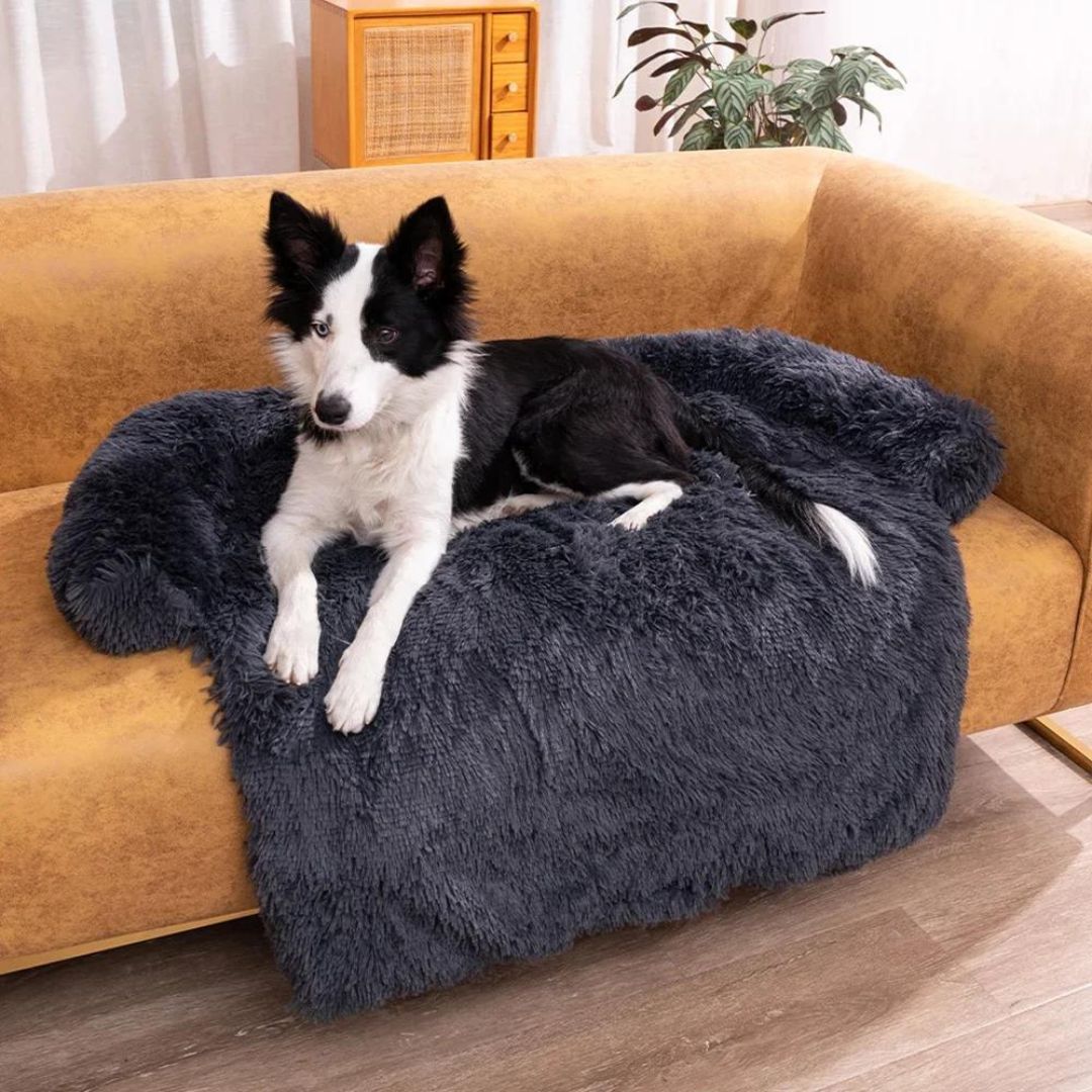 Woof Safe Couchcover